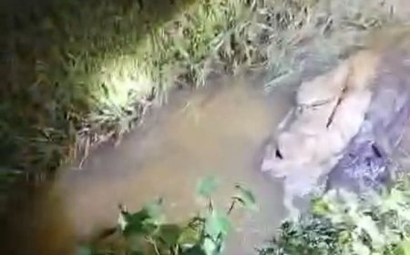 বাজার থেকে ফেরার পথে বৃদ্ধকে হত্যা, মরদেহ উদ্ধার নালায়