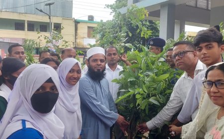 সবুজে ঘেরা মৌলভীবাজার জেলাকে আরও সবুজময় করতে চাই: জেলা প্রশাসক