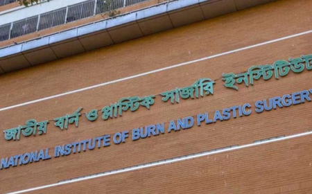জাতীয় বার্ন ইনস্টিটিউটে ভারতীয় বিশেষজ্ঞ চিকিৎসক দল