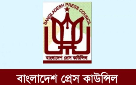 প্রেস কাউন্সিলের সদস্য হলেন মাহফুজ আনামসহ ১২ জন
