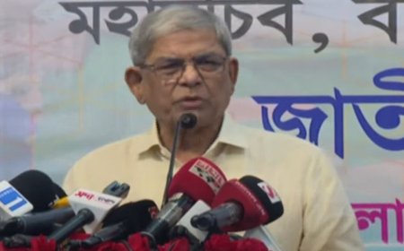 ফেব্রুয়ারিতে নির্বাচন হলে অনেক সমস্যা দূর হয়ে যাবে: মির্জা ফখরুল