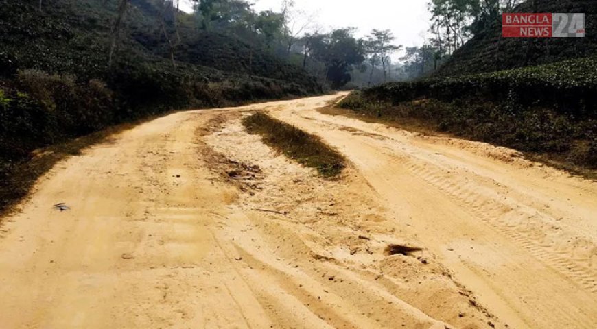 কমলগঞ্জের পতনউষার তারাপাশা-এয়ারপোর্ট রোডের বেহাল দশা, জনদুর্ভোগ চরমে।