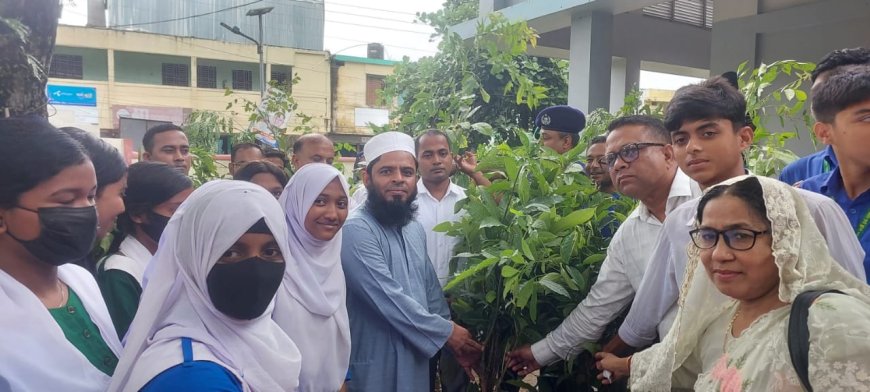 সবুজে ঘেরা মৌলভীবাজার জেলাকে আরও সবুজময় করতে চাই: জেলা প্রশাসক