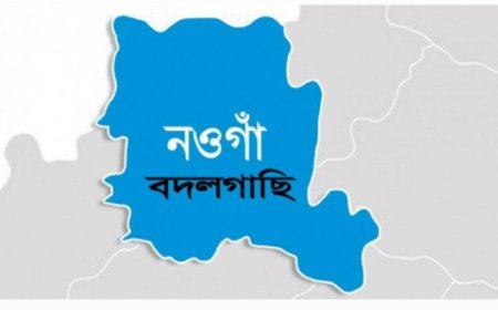 বদলগাছীর মিঠাপুর ইউপির সাগরপুরে স্ত্রী ও বাবার উপর অভিমান করে এক যুবকের আত্ম*হত্যা।