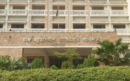 যশোরে অনলাইন জুয়া এজেন্টসহ দুইজন গ্রেফতার, সাইবার পুলিশ অভিযান সফল