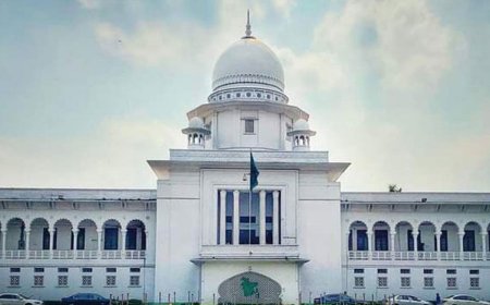 “পান্থকুঞ্জ পার্ক–হাতিরঝিল অংশে এলিভেটেড এক্সপ্রেসওয়ে নির্মাণে হাইকোর্টের নিষেধাজ্ঞা”