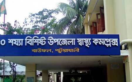 বাউফলে শিক্ষার্থী নির্যাতনের ভিডিও ভাইরাল — অপমানে আত্মহত্যার চেষ্টা।