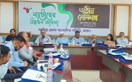 নির্বাচিত হলে দুই মাসে গ্যাস সুবিধা পাবেন নাটোরবাসী : দুলু