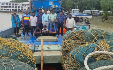 গলাচিপা ও রাঙ্গাবালীর যৌথ অভিযানে বোটসহ তিন জেলে আটক