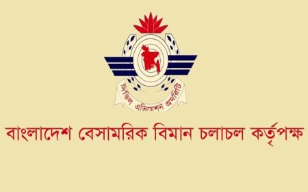 বেবিচকে দুর্নীতির জাল, পেছনে ‘মানিকজোড়’