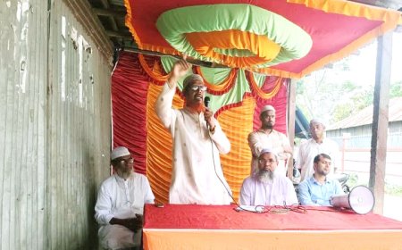 ন্যায়ভিত্তিক কল্যাণ রাষ্ট্র গড়তে জামায়াতকে বিজয়ী করুন ।।  নাজমুল হক সাঈদীর