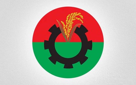যশোরে ১৩ মাসে ২২০ বহিষ্কার  তবুও থামছে না বিএনপি নেতাকর্মীদের বিতর্কিত কর্মকাণ্ড