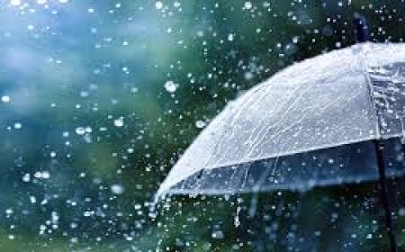টানা ৫ দিন বৃষ্টি ও বজ্রপাতের পূর্বাভাস