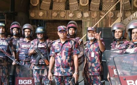 নারায়ণগঞ্জ শহরের বিভিন্ন পূজামণ্ডপ পরিদর্শন করেছে  বিজিবি
