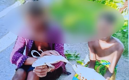 গলাচিপায় মাছ চুরির অভিযোগ ২ শিশুর হাত-পা বেঁধে নির্যাতন