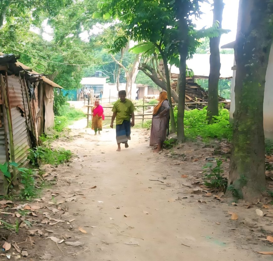 নওগাঁর বদলগাছীতে সরকারি রাস্তার প্রবেশ মুখে বাঁশের বেড়া, চরম ভোগান্তিতে এলাকাবাসী