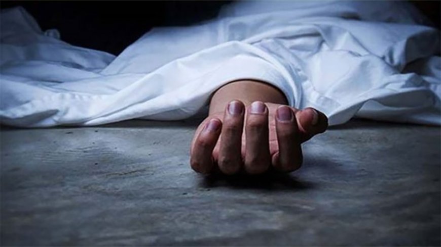 “মোহাম্মদপুরে ছিনতাইকারী সন্দেহে দুই যুবককে পিটিয়ে হত্যা”