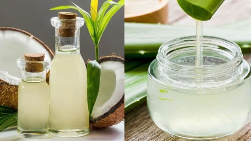 সানস্ক্রিনের বদলে নারিকেল তেল