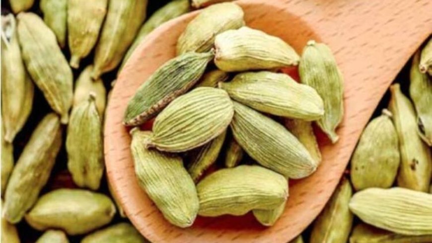 রাতে ঘুমানোর আগে এলাচ খেলে মিলবে যে উপকার
