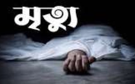 শৈলকুপায় পৃথক ঘটনায় তিনটি অপমৃত্যু 