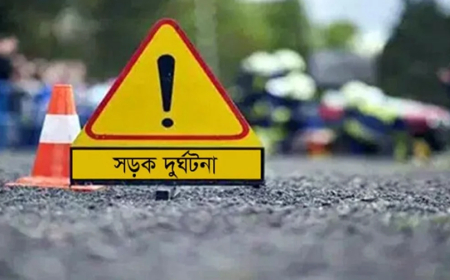 গরুবোঝাই নসিমনের ধাক্কায় প্রাণ গেলো ২ জনের