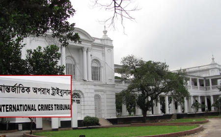 হাসিনাসহ ৩০ জনের বিরুদ্ধে গ্রেপ্তারি পরোয়ানা, গুমের দুই মামলায় আদেশ ট্রাইব্যুনালের