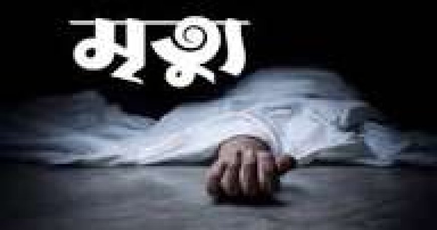 শৈলকুপায় পৃথক ঘটনায় তিনটি অপমৃত্যু 
