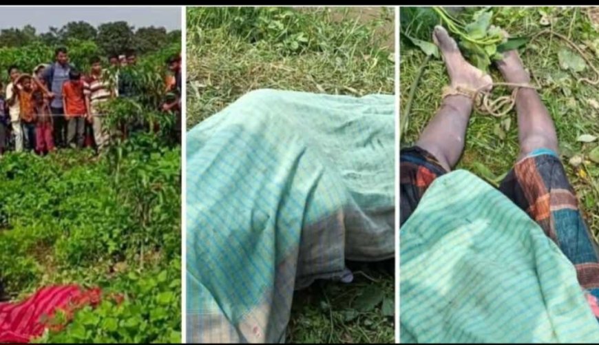  নওগাঁয় একদিনে স্কুল ছাত্রীসহ ৩ জনের মরদেহ উদ্ধার