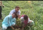 নরসিংদীতে নোঙ্গর বাংলাদেশের বৃক্ষরোপণ কর্মসূচি অনুষ্ঠিত