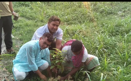 নরসিংদীতে নোঙ্গর বাংলাদেশের বৃক্ষরোপণ কর্মসূচি অনুষ্ঠিত